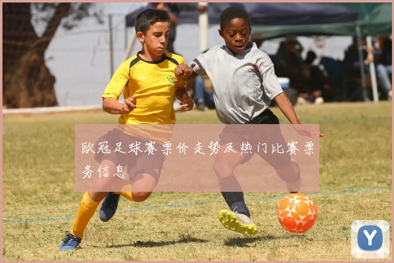 欧冠足球赛票价走势及热门比赛票务信息