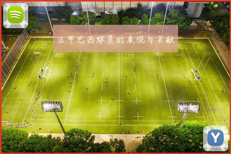 法甲巴西球员的表现与贡献