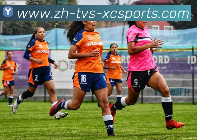 杏彩体育平台生态图