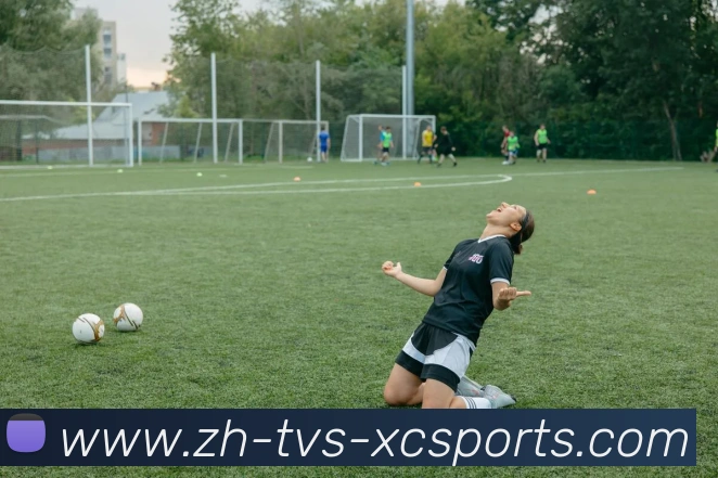 杏彩体育全站App